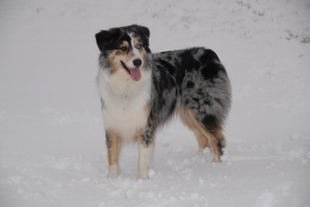 Bécky Of happy dream valley