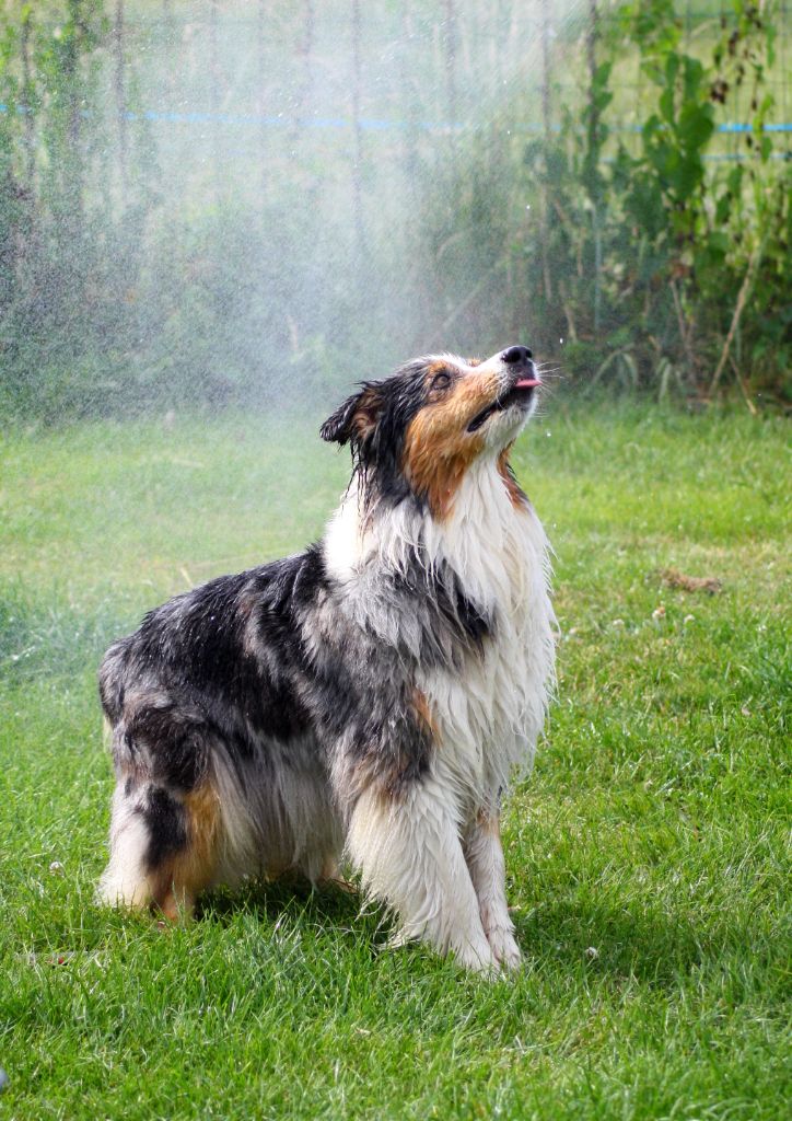 Eloa du domaine de Keops