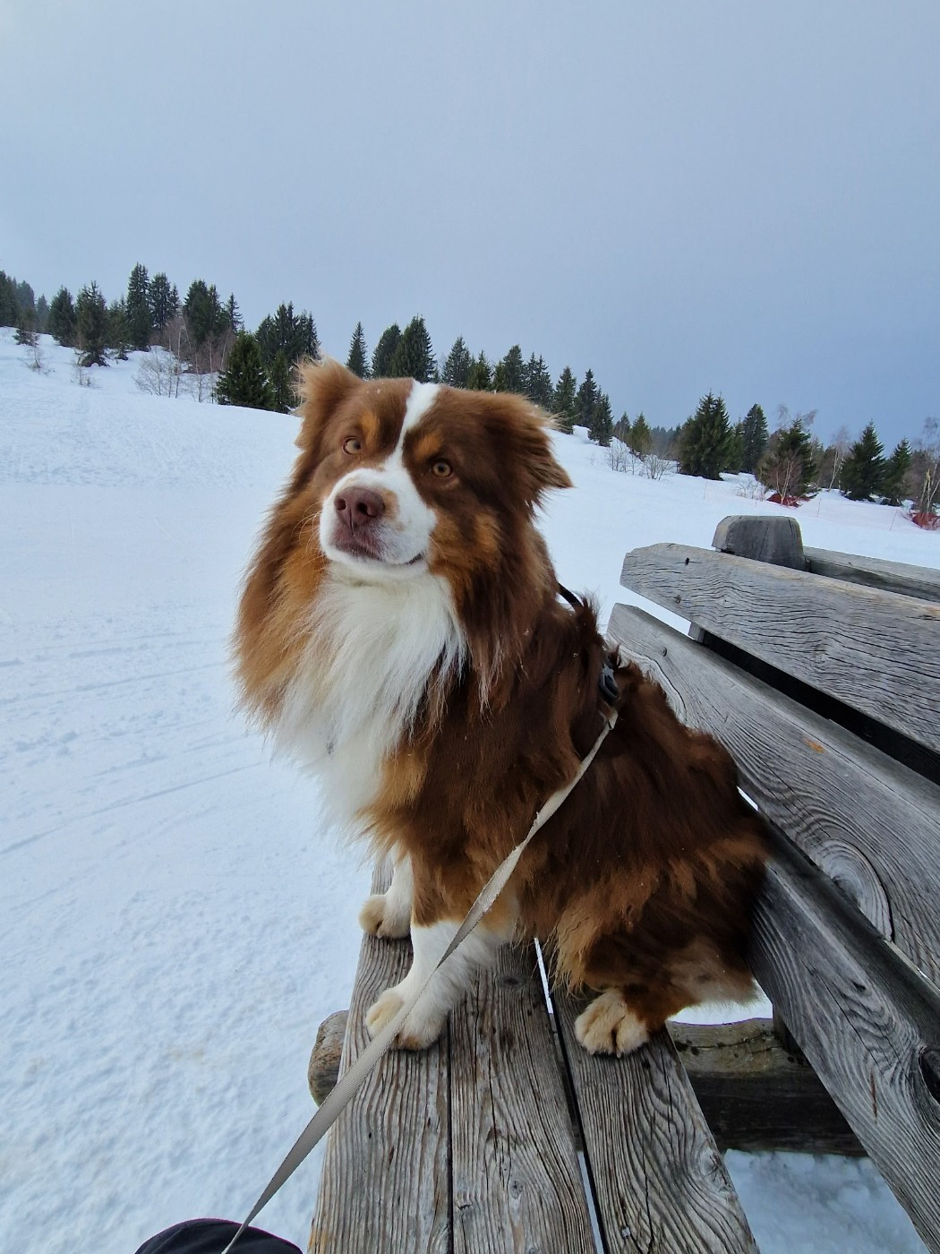 Ted du domaine de Keops