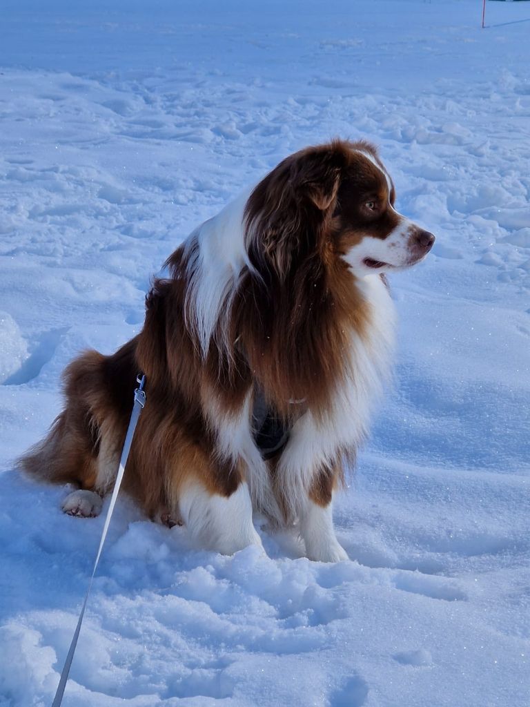 Ted du domaine de Keops