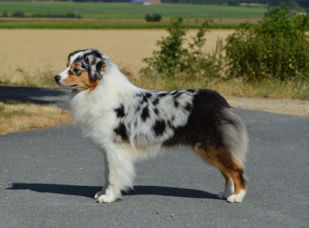 Very pretty girl (lady) du domaine de Keops