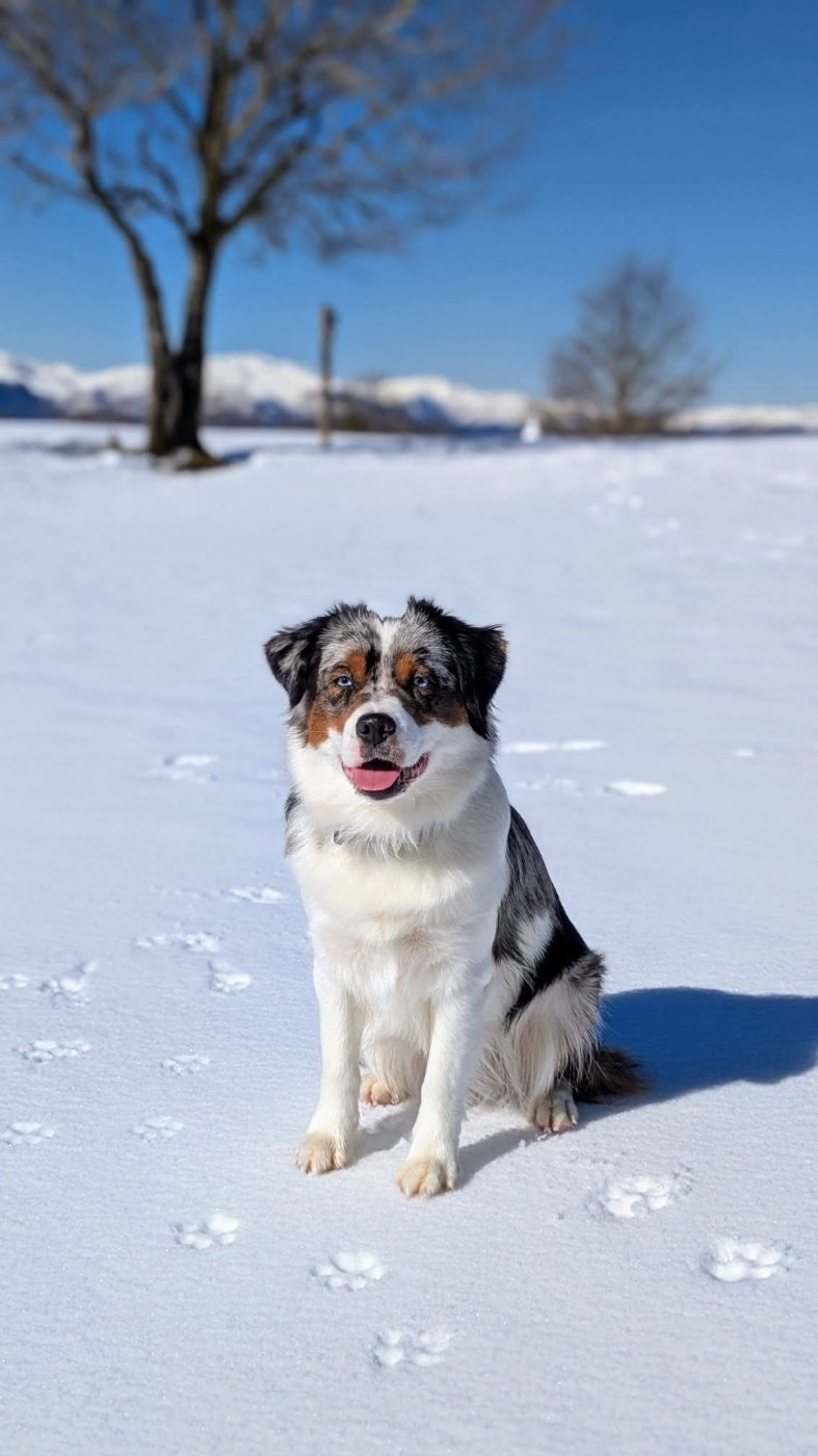 A Perfect Love  "Arya" du domaine de Keops