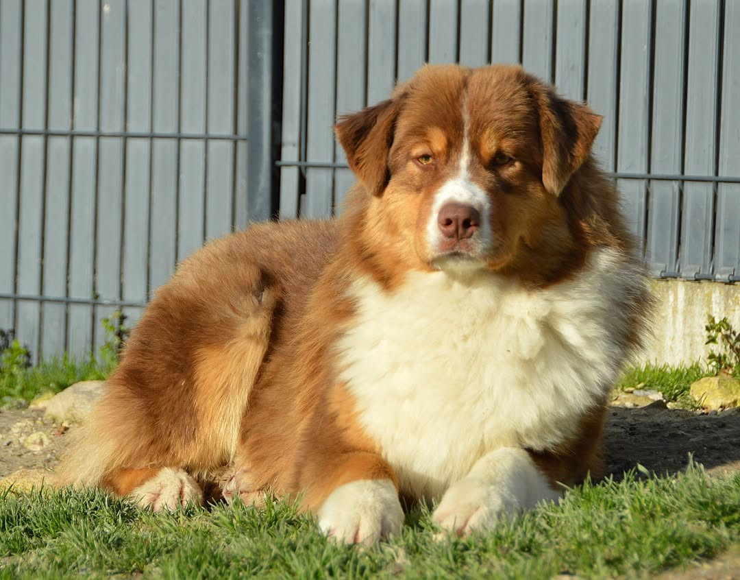 Ma douce angel attend impatiemment sa famille 5 étoiles
