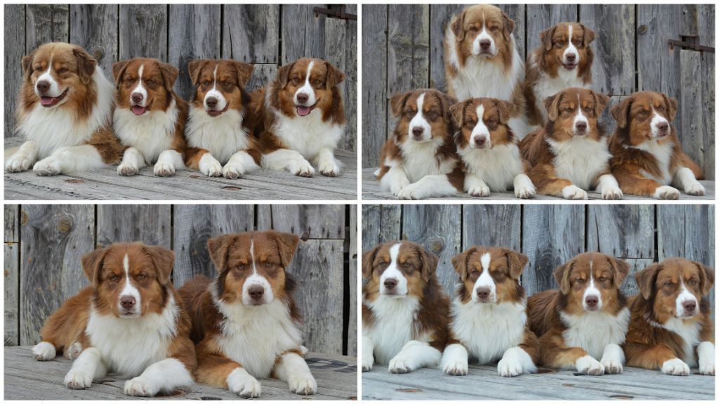 5 grands bébés attendent leur famille 5 étoiles
